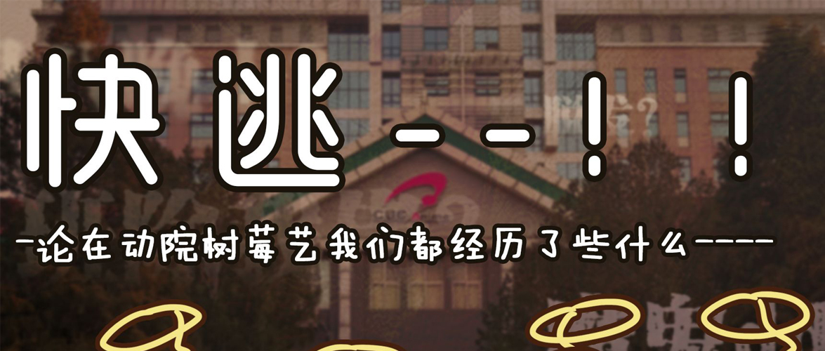 动院数媒生活大赏